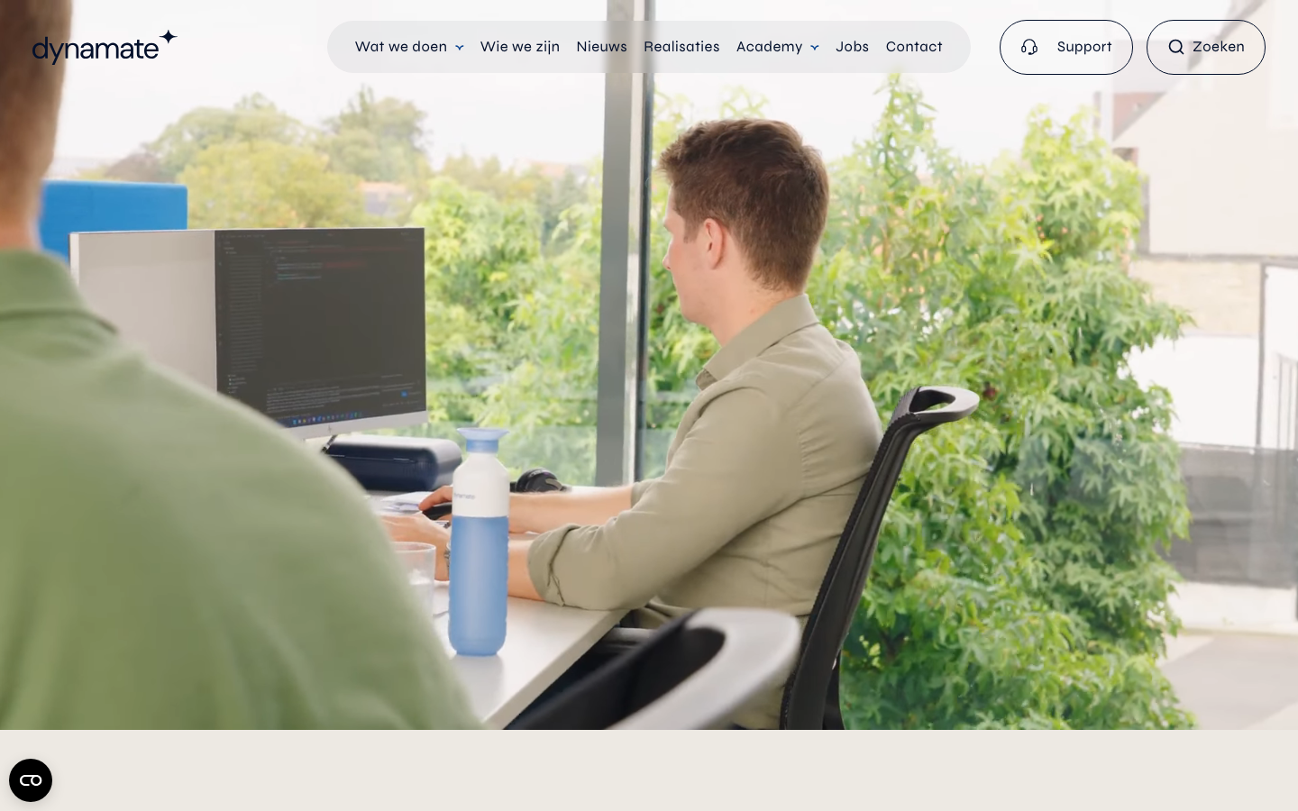 Screenshot of Dynamate website