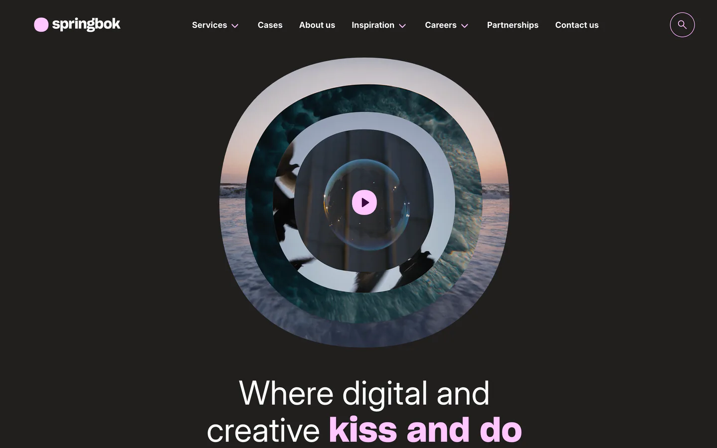 Screenshot of Springbok website